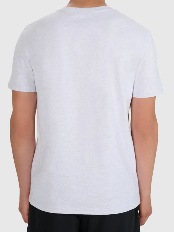 koszulka-t-shirt-meski-bawelniany-gladki-szary-4f (2).jpg