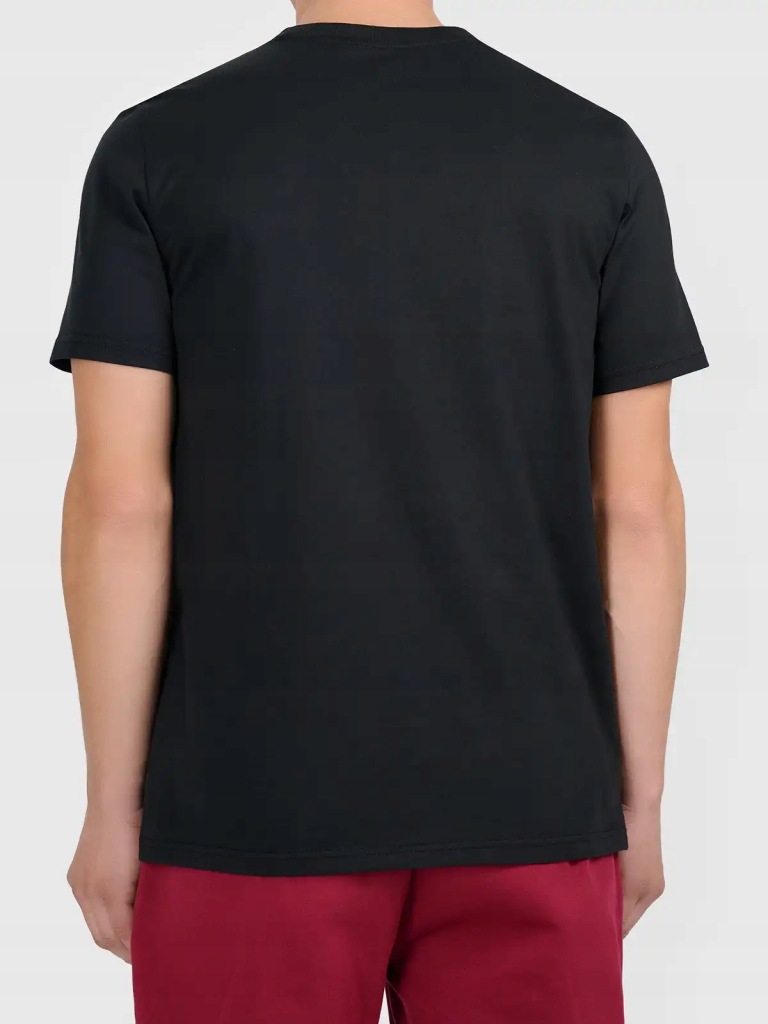 Koszulka męska 4F bawełniana T-shirt czarna 4FWMM00TTSHM3341 L